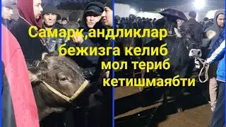 18.11.2022йил. Китоб Мол Бозори Узбекистоннинг энг арзон Мол Бозорлар к,аторида халиям к,олмок,да