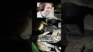 RUANGAN PENUH BANGKAI MANUSIA!!?? 