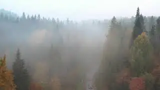 Relaxing Autumn Video | Beautiful Scenery, Relaxing,