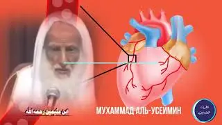 Мухаммад аль-Усеймин.Как очистить свое сердце от показухи?