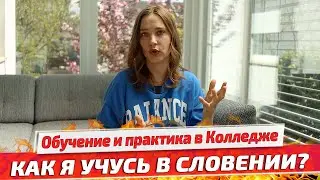 Как я учусь в Словении? Обучение и практика в колледже. Образование в Европе