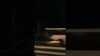 Страшное ветвистое дерево 🌳  без макушки на Горьковском шоссе 🛣