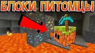 Я приручил Блок Земли в Майнкрафте! Как приручить Блок Питомцев в Майнкрафт?