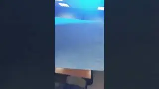 Шпора, Шпаргалка 