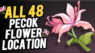 Pecok Flowers Location | Jiyan Ascension Materials | Wuthering Waves