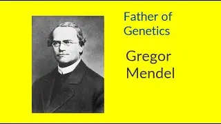 Mendel's Laws of Heredity | CBSE Class 10 Biology | Important for Exams l laws of inheritance #exam