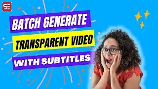 How To Batch Generate Transparent Video with Subtitles in Subtitle Edit