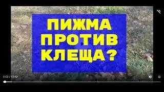 Пижма от клеща варроа? Какой эффек дыма? Простое народное средство в пчеловодстве