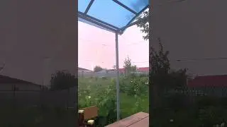 Летние молнии... красотка... 
