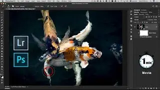 Lightroom Classic and Photoshop CC - One-Minute Movie: Dehaze, Auto Tone and Dust removal