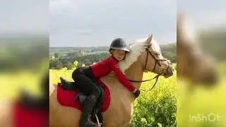 THESE PHOTOS OF HARLOW POPCORN AND CLOUDY ARE UNTITLED THERE SO CUTE