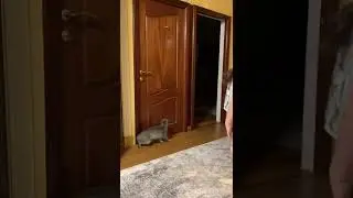 Охотник на присоски