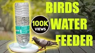 How to make automatic birds water feeder home DIY
