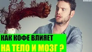 Как кофе влияет на тело и мозг в течение 6 часов?