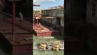 Смотрители на кладбище барж в Краснодаре