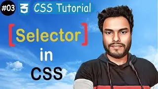 #03 Selectors in CSS : Unlocking the Power of Styling with Precision! | CSS Tutorial