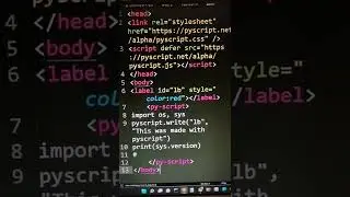Pyscript, python like javascript: project by Anaconda team