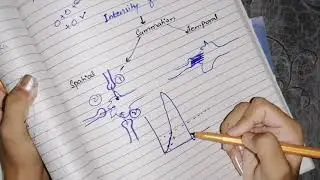 Summation / temporal and spatial summation with graph guyton 47