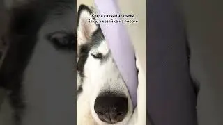 Притвориться спящей💪