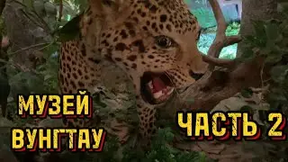 МУЗЕЙ В ВУНГТАУ. КАК ПРОХОДИЛА ВОЙНА. ЧАСТЬ 2.