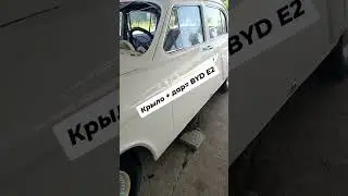 Як крилои Москвич Як BYD  меброя