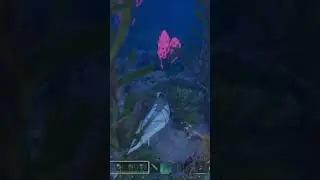 Easy Taming Plesiosaur