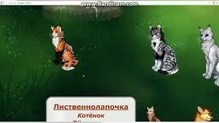 Новостюшки от Пандушки. CatWar