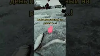 последние деньки на льду