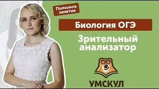 Зрительный анализатор | Биология | ОГЭ 2019 | УМСКУЛ