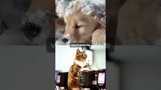 AI Generated Video Games?