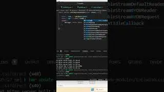 Handling POST Requests in Nuxt.js Server-Side 