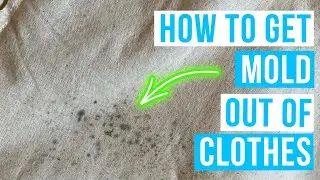 How to GET MOLD OUT OF CLOTHES | mold stains removal