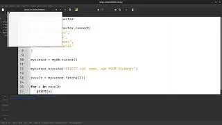 Python Database MySQL Select Statement