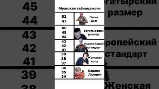 20 марта 2024 г.