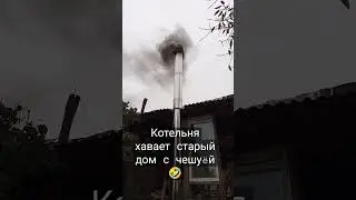 🤦‍♂️