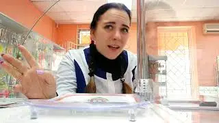 В ОКОШКЕ ФАРМАЦЕВТА| АСКОРБИНКА ПО 4 РУБЛЯ?