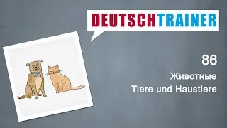 Немецкий для начинающих (A1/A2) | Deutschtrainer: Животные