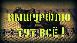 НАДО ЛИ ШУРФИТЬ ОКОЛО ФУНДАМЕНТА ? - ШУРФ У ЯБЛОНИ  ДАЁТ ХАБАРОК