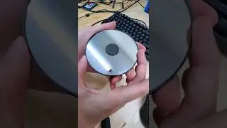 this HDD platter has a wild secret 🐝