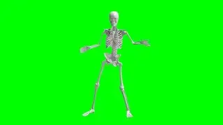 Skull Skeleton Dancing Animation Green Screen Background video HD