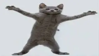 Кот флексит под 