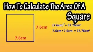 How To Calculate, Find The Area Of A Square - Formula For The Area Of A Square Explained