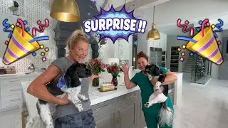 SURPRISE!!!