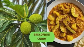 Cooking breadfruit in the simplest Goan style