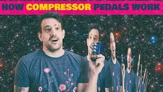 How To Use A Compressor Pedal (feat. Empress Compressor MKII + Bass)