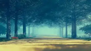 Stunning Forest Background Video | No Copyright Free Backgrounds