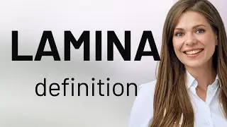 Lamina • what is LAMINA definition