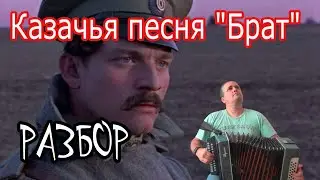 Брат Казачья песня // разбор на гармони