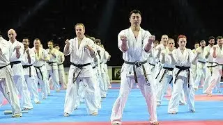 KARATE KYOKUSHINKAI DEMONSTRATION !