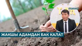 ЖАКШЫ АДАМДАН БАК КАЛАТ // КУМАР МАМБЕТАЛИЕВ